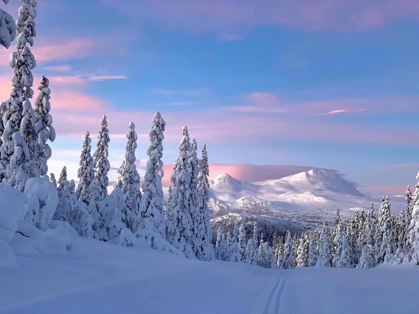 Tuddal Hoyfjellshotel エクステリア 写真