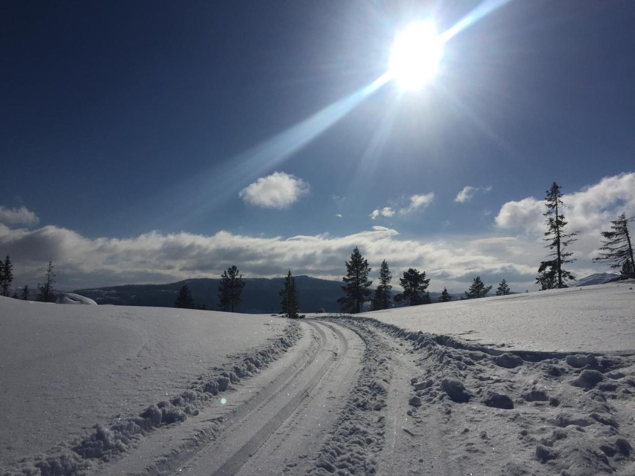 Tuddal Hoyfjellshotel エクステリア 写真